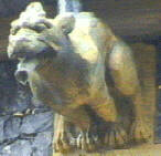 a four legged beast