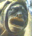 stone face